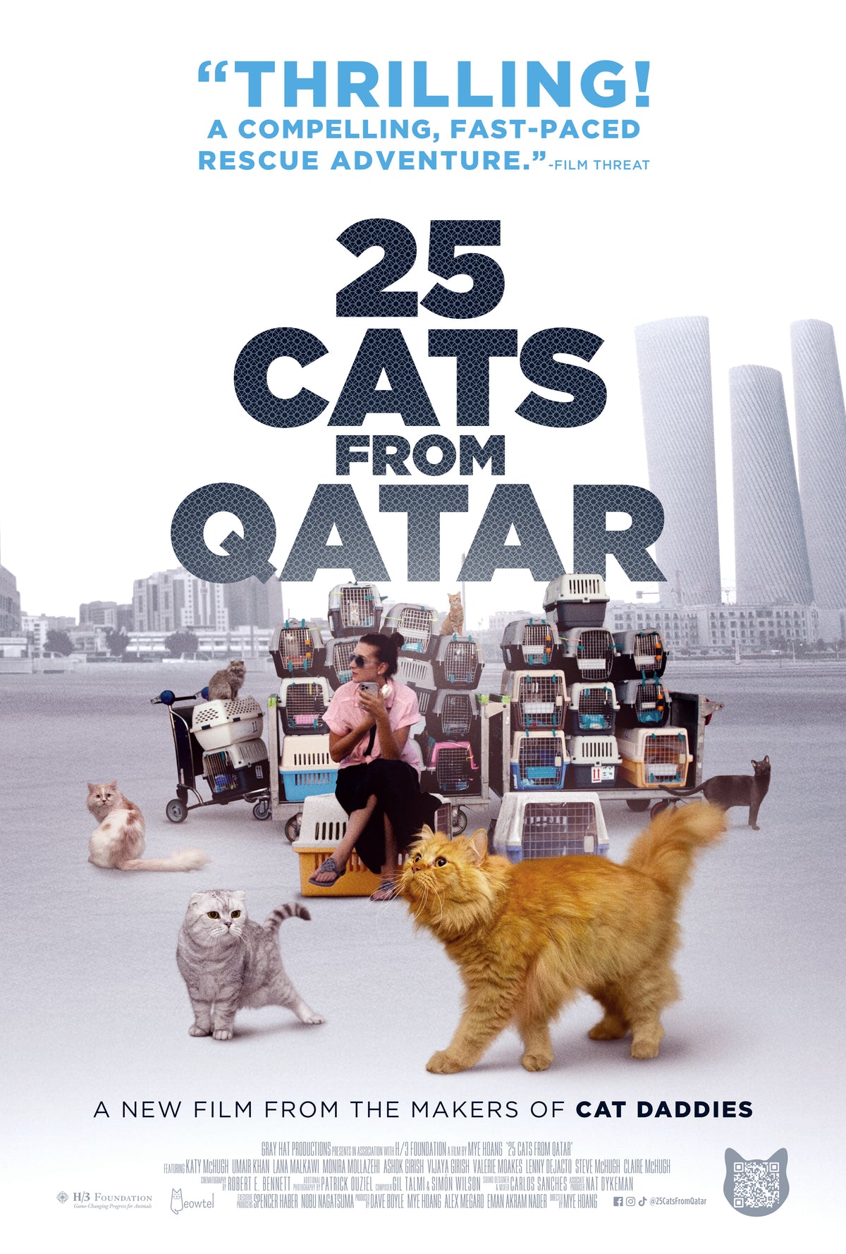 11/08/2026 - 25 Cats from Qatar Screening