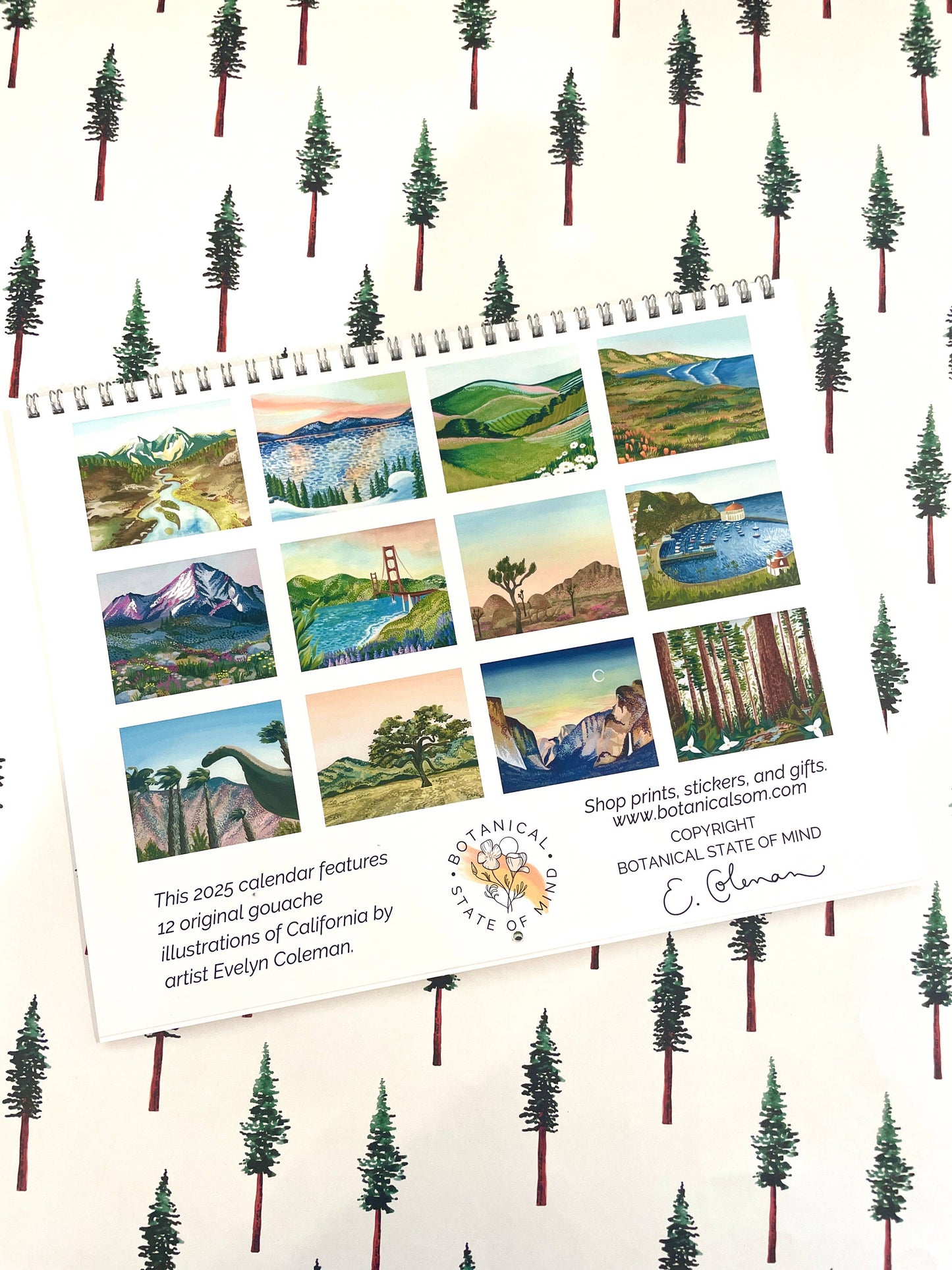 2025 California Nature Calendar