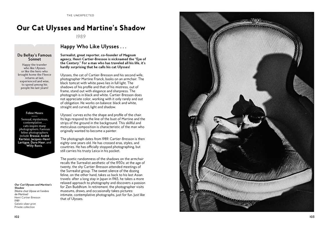 Cats in Art by Alix Paré