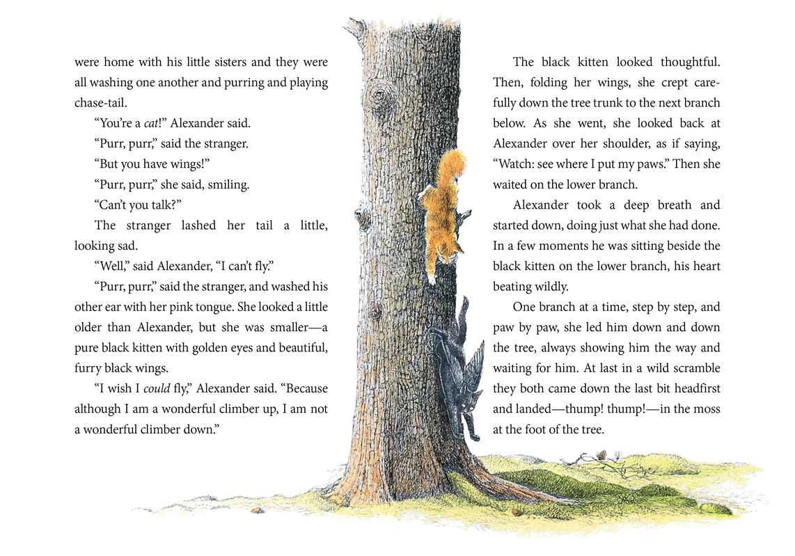Wonderful Alexander and the Catwings by Ursula K. Le Guin