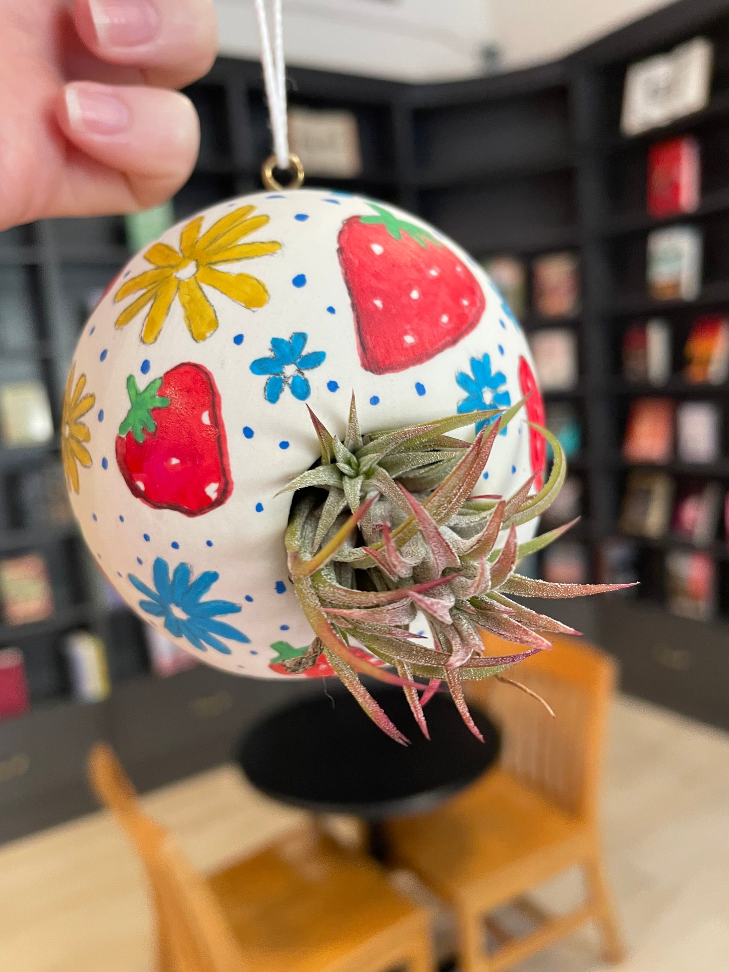 07/11/2026 - Painted Air Plant Vase