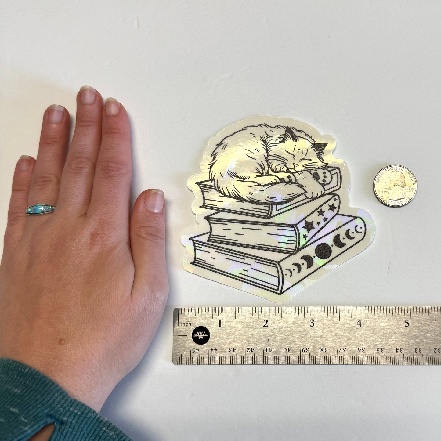 Cat on Book Stack Suncatcher Window Decal