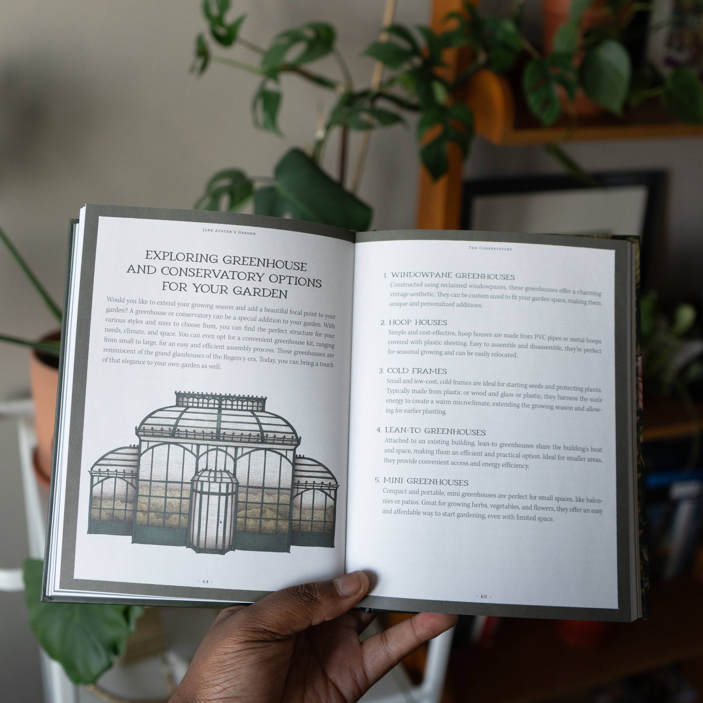 Jane Austen's Garden by Molly  Williams