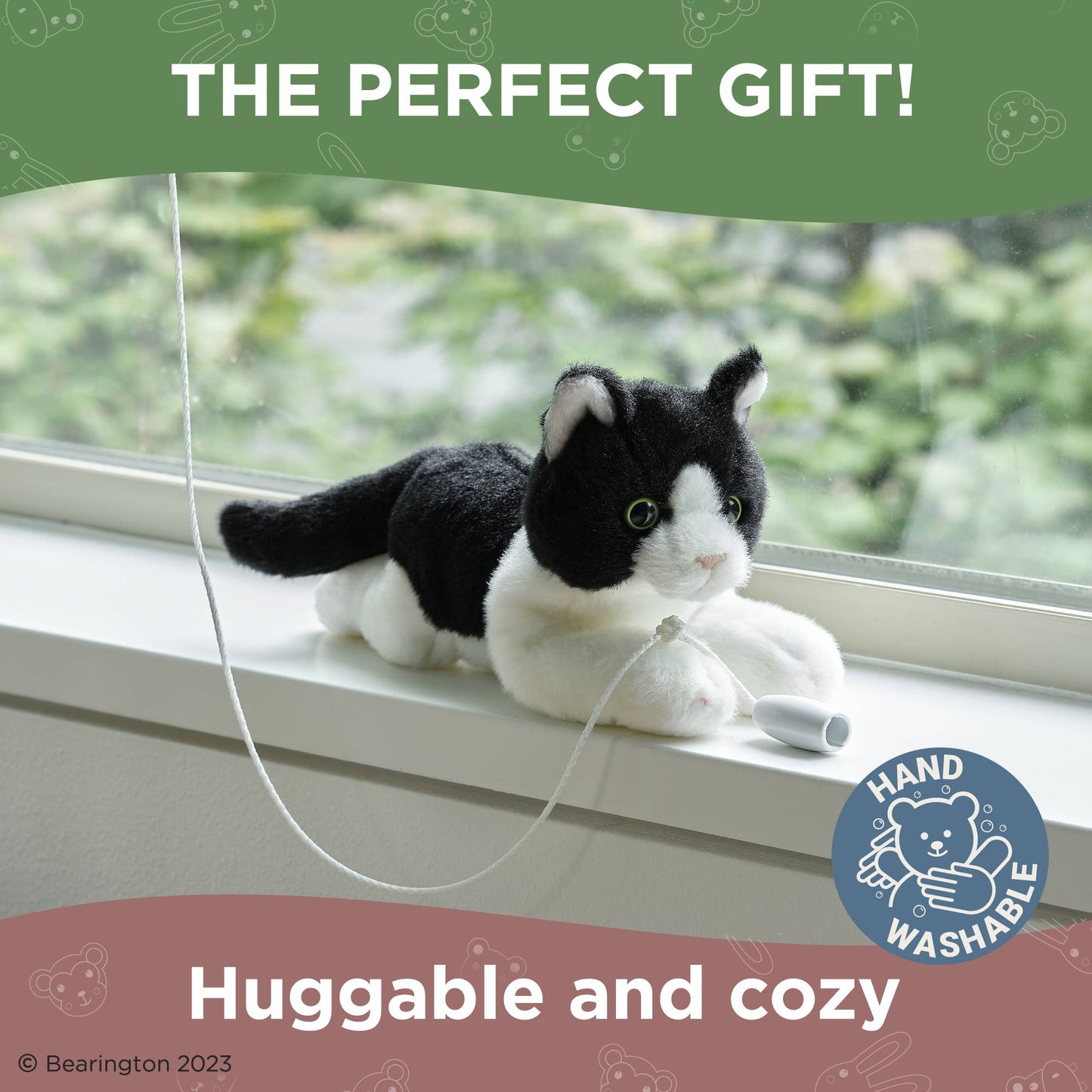 Lil' Domino the Black & White Cat