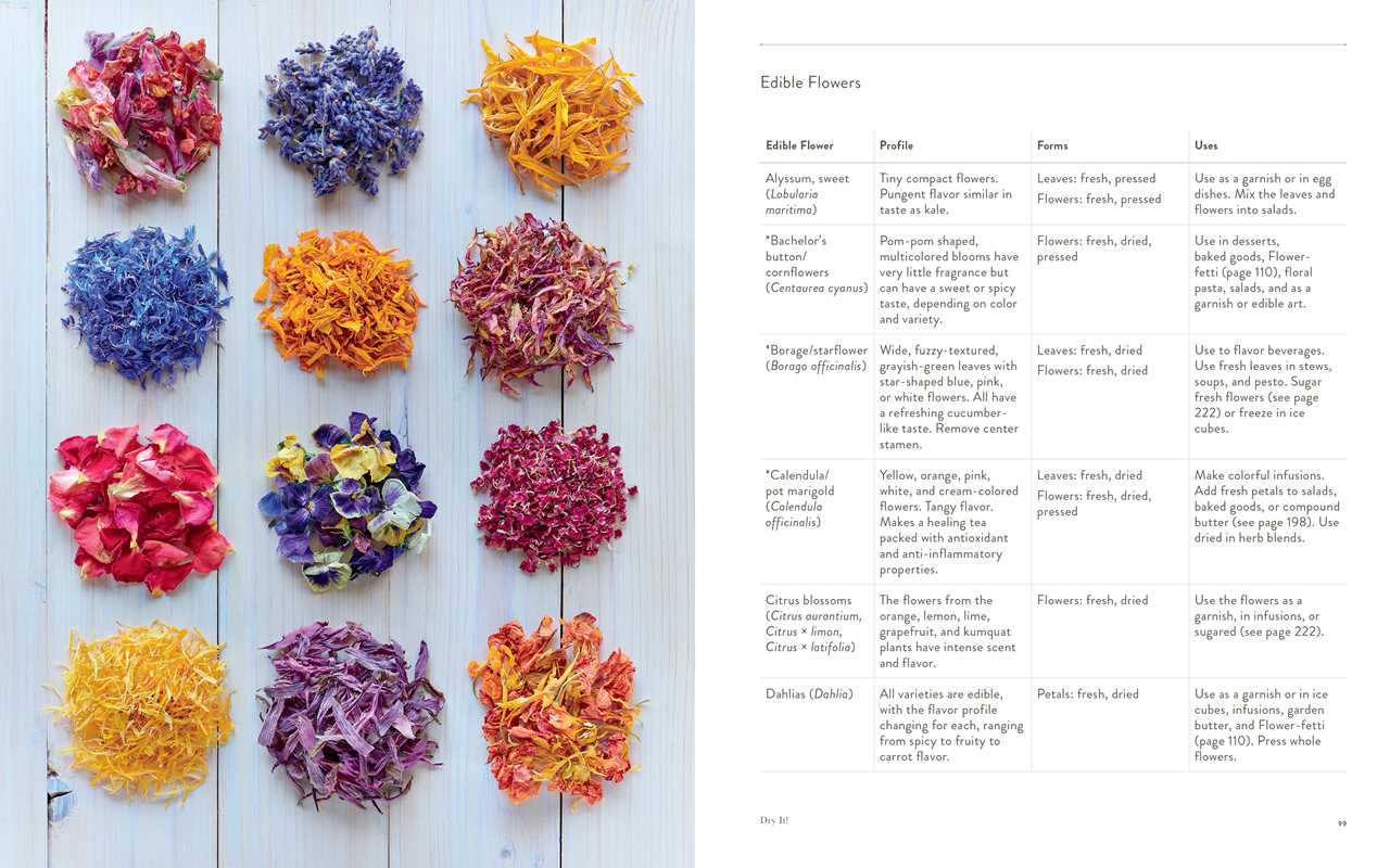 Preserving the Seasons by Holly Capelle