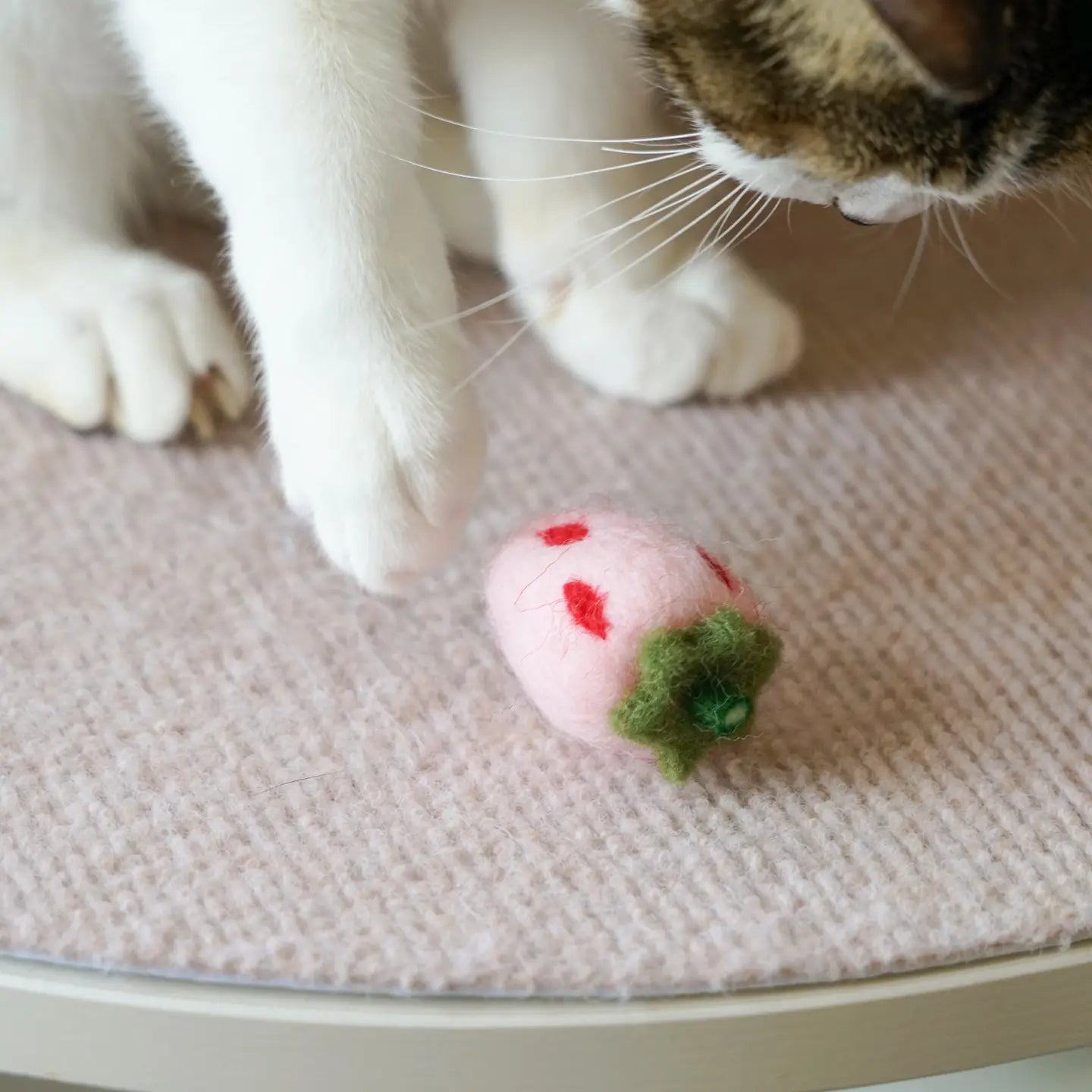 Handmade Wool Felt Cat Toy Set Fruit-Inspired Collection