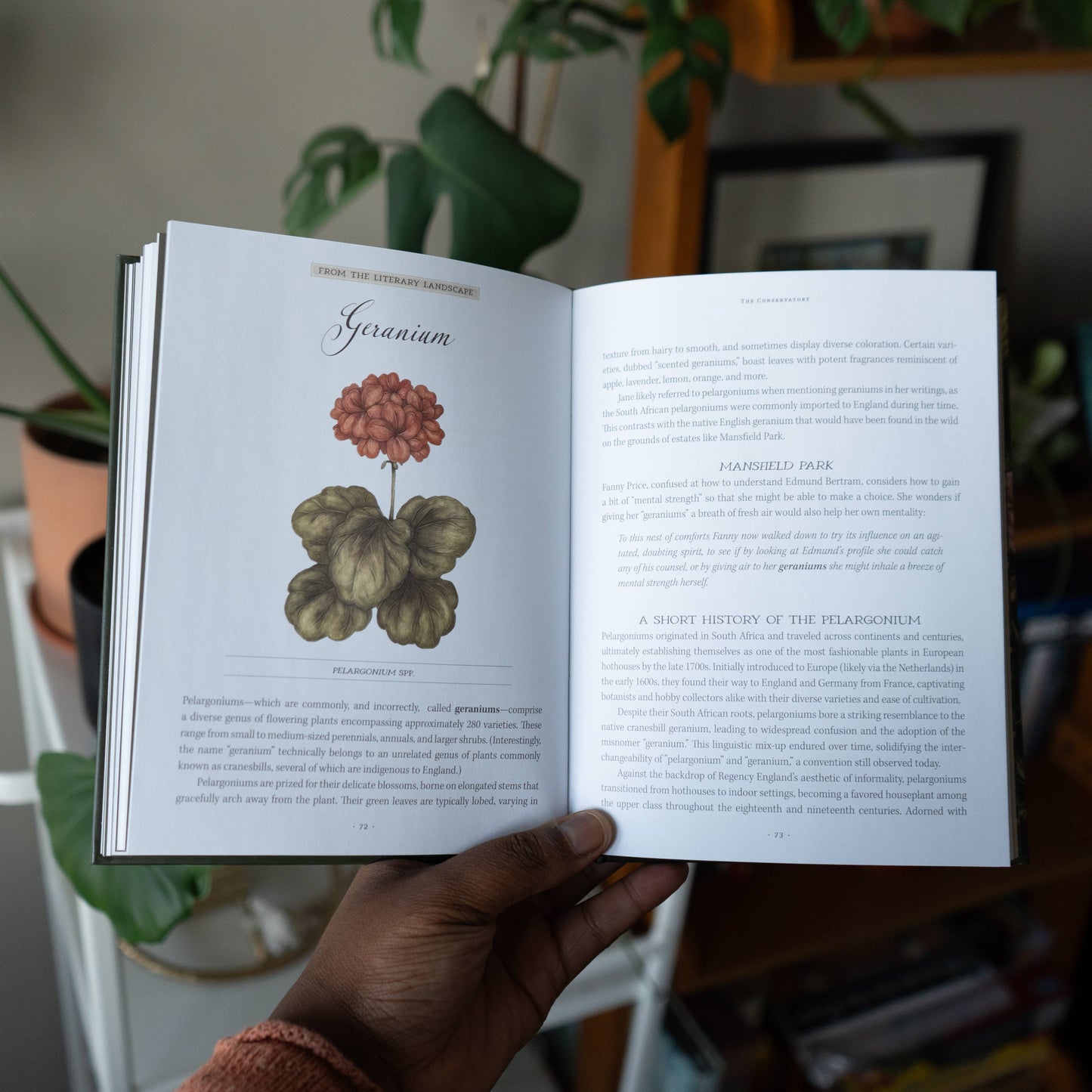 Jane Austen's Garden by Molly  Williams