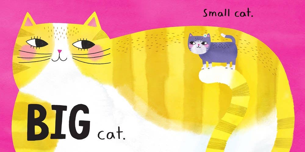 Hi, Cat. Bye, Cat.