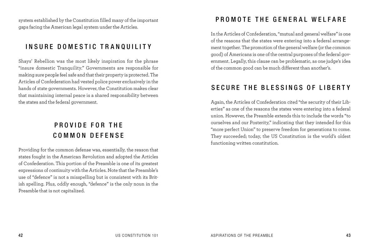 US Constitution 101 by Tom Richey