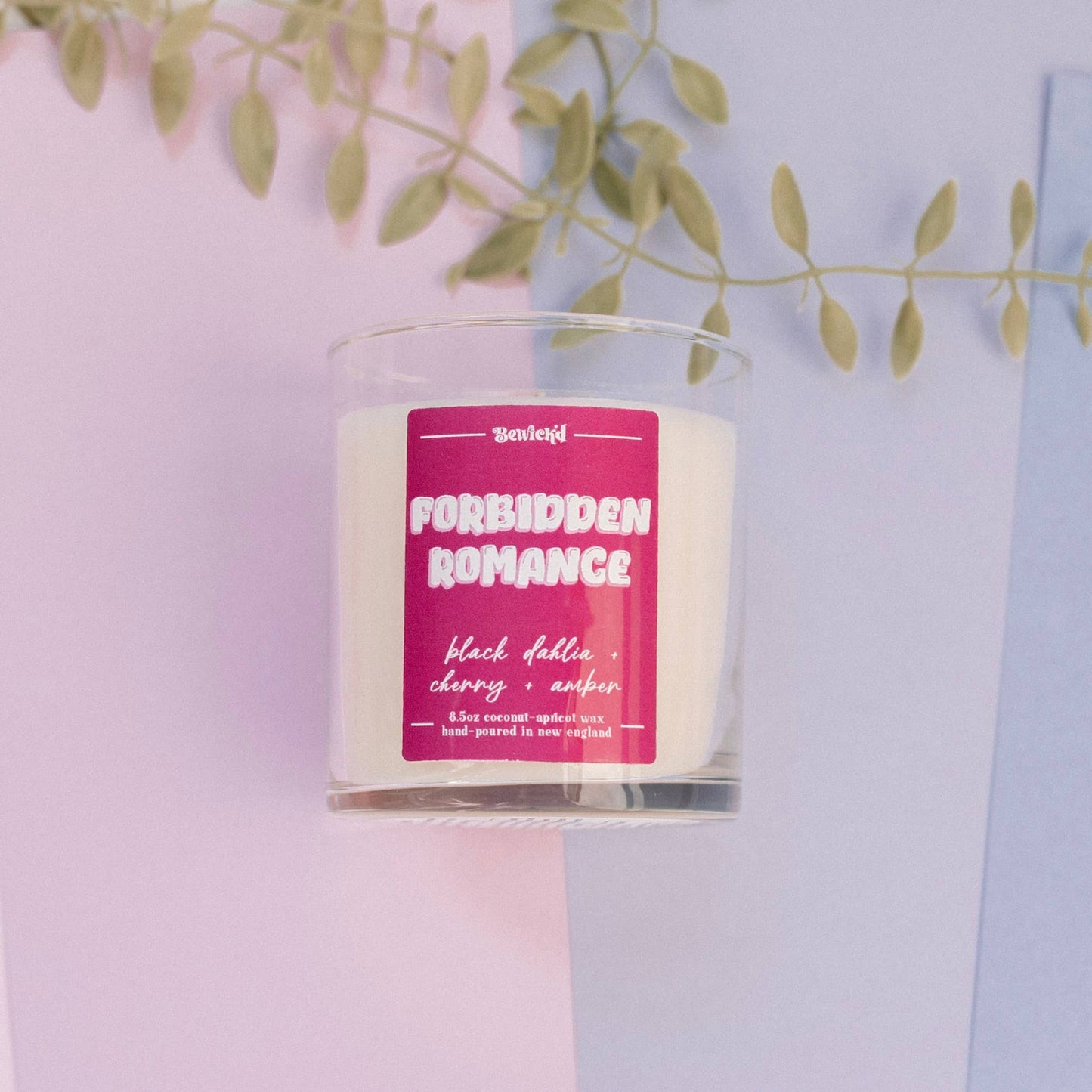 Forbidden Romance Candle - Book-Inspired Luxury Coconut Apricot Wax