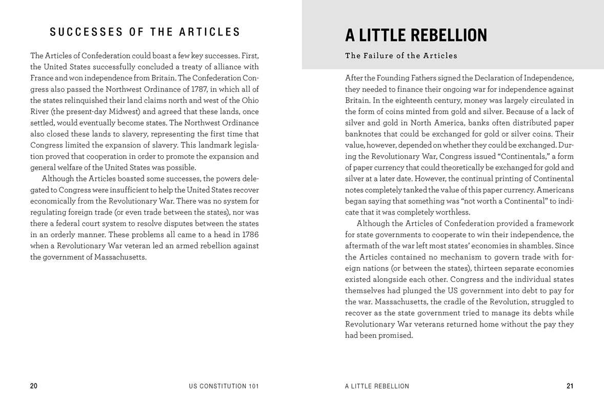 US Constitution 101 by Tom Richey