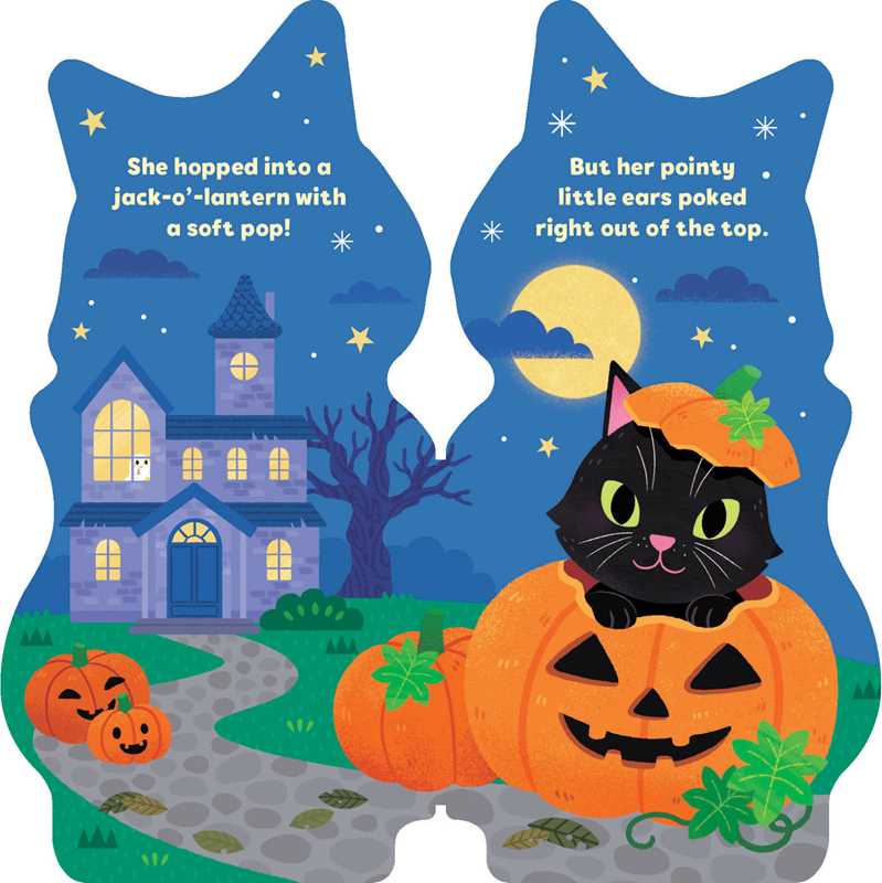 Little Cat (Little Shaped Board Books)