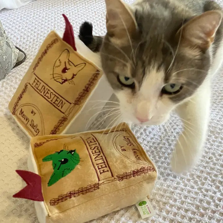 Handmade Catnip Book Cat Toy