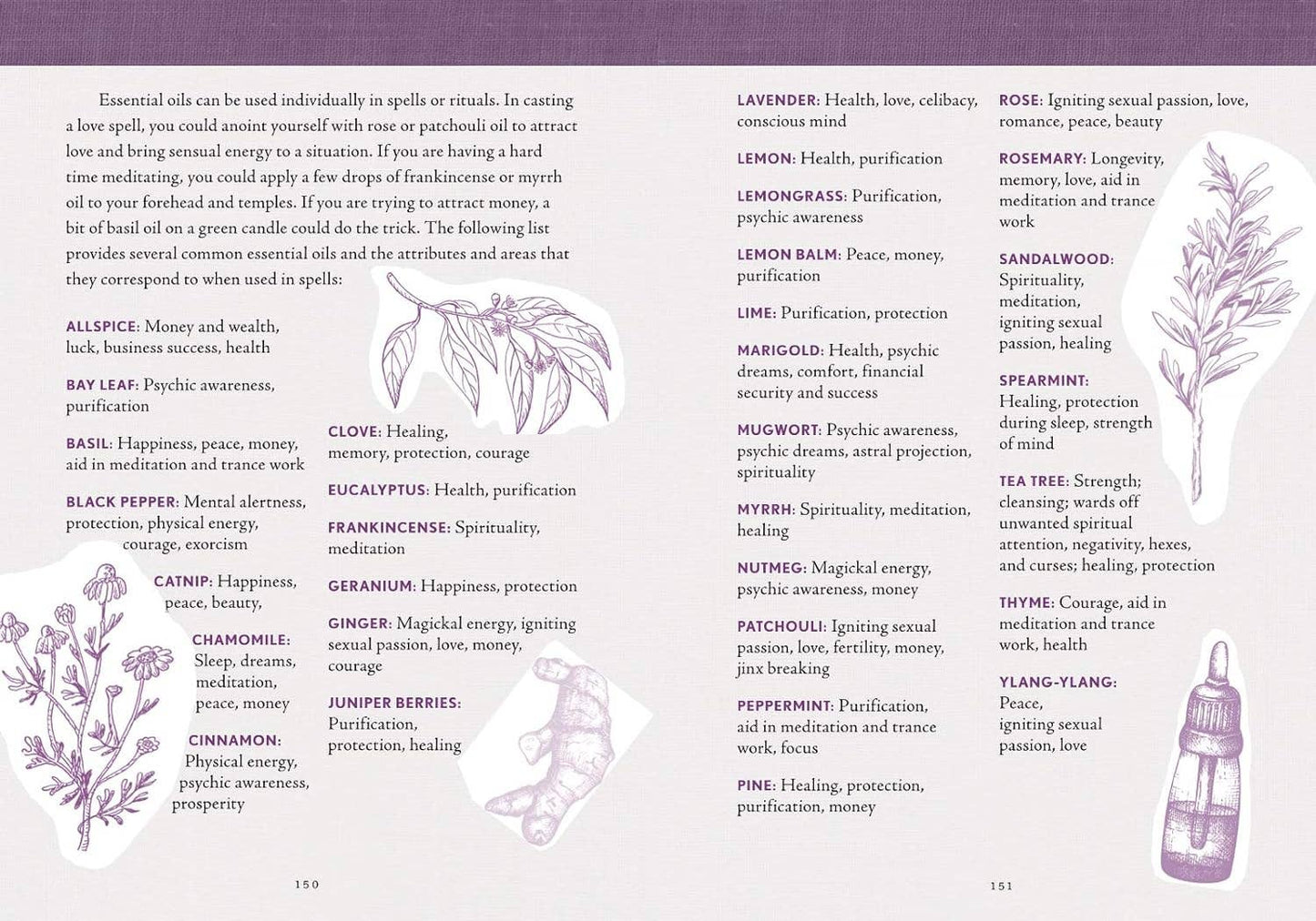 The Good Witch's Perpetual Planner by Shawn Robbins