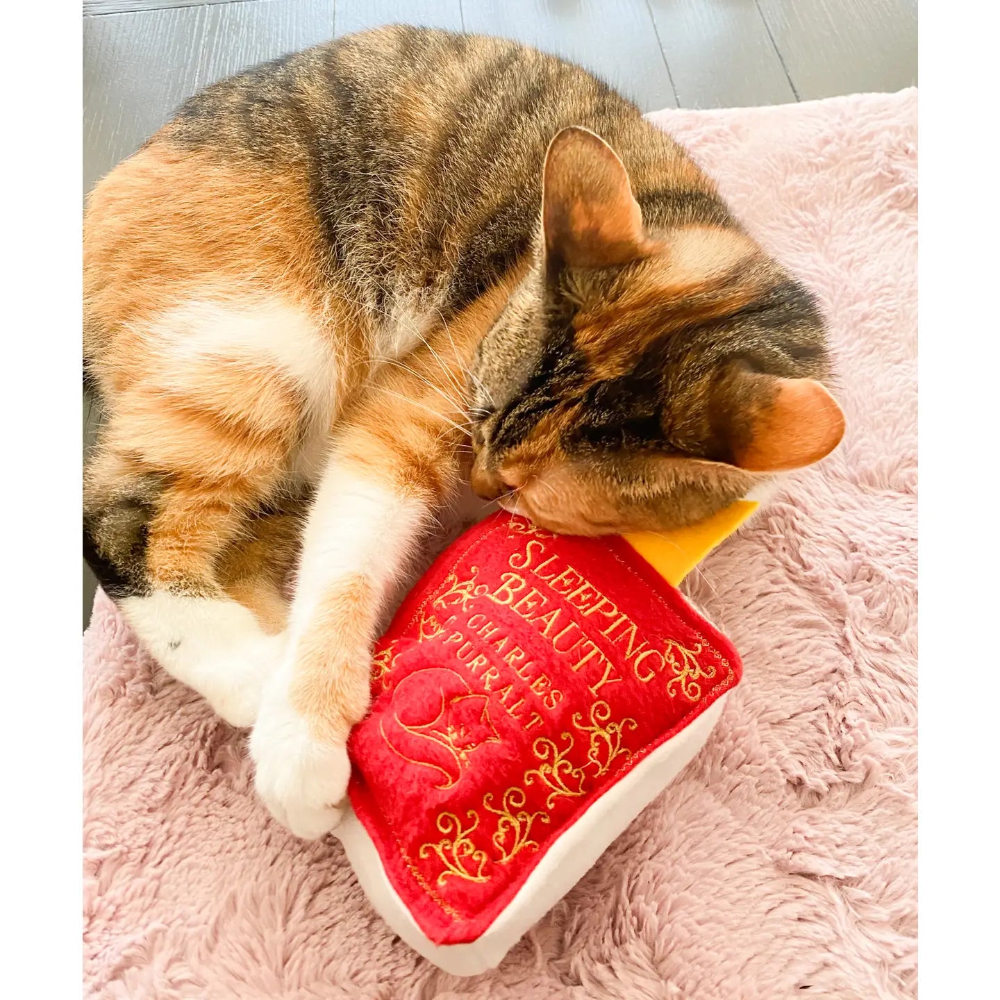 Handmade Catnip Book Cat Toy