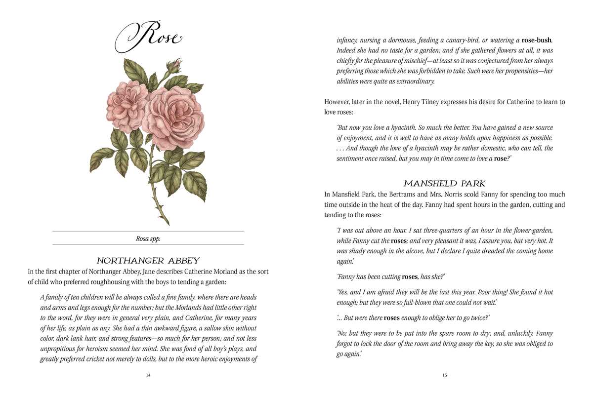Jane Austen's Garden by Molly  Williams