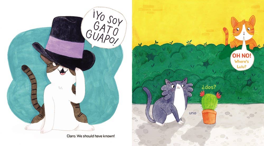 Gato Guapo