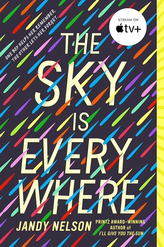 The Sky Is Everywhere cover image