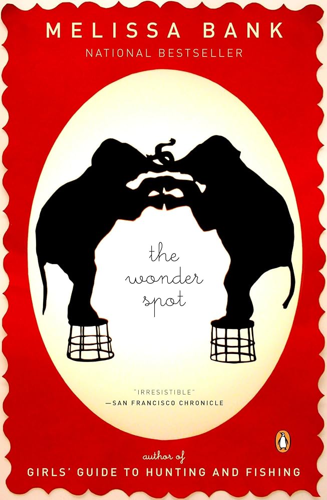 The Wonder Spot cover image