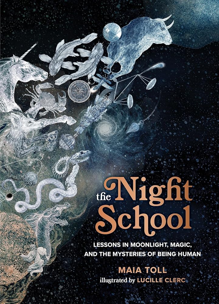 The Night School: Lessons in Moonlight, Magic, and the Mysteries of Being Human cover image