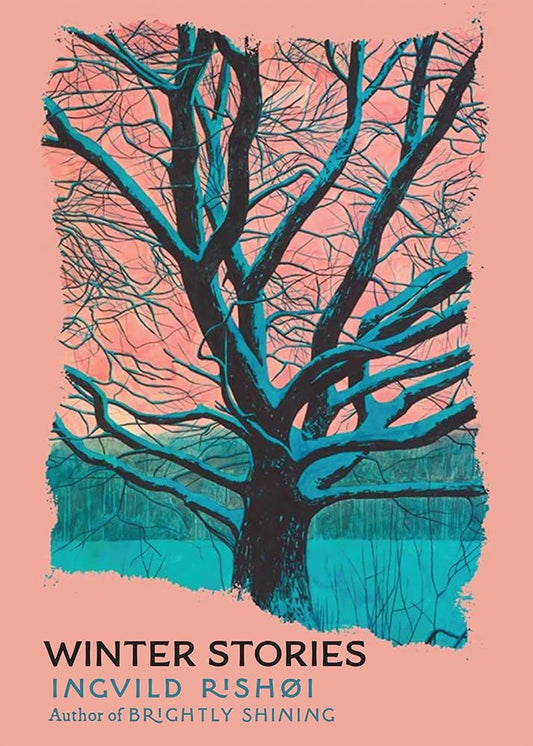 Winter Stories cover image