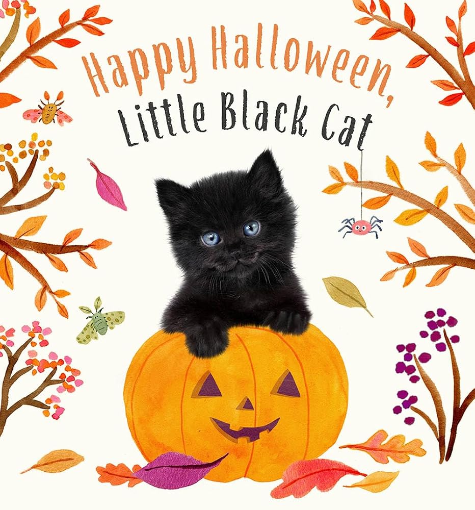 Happy Halloween, Little Black Cat: A Board Book (Baby Animal Tales) cover image
