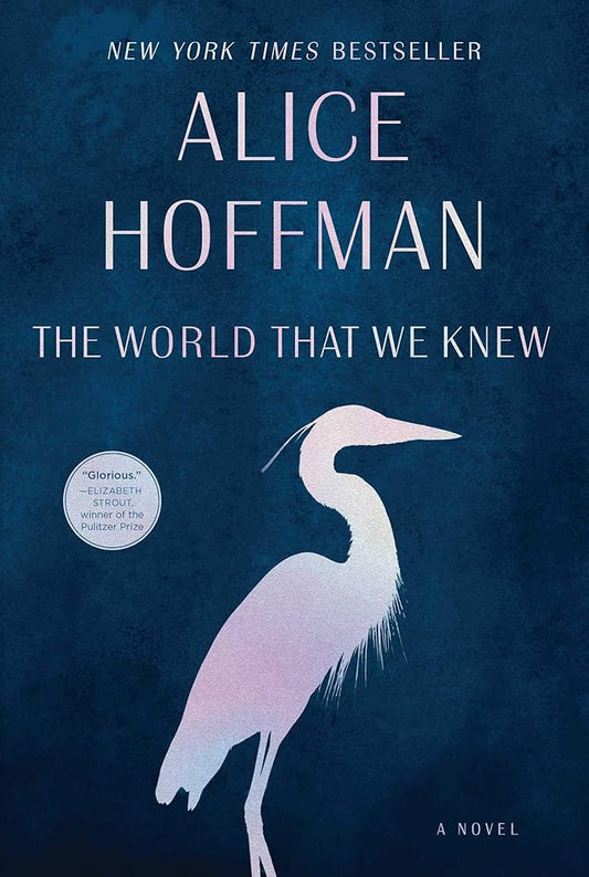 The World That We Knew: A Novel cover image