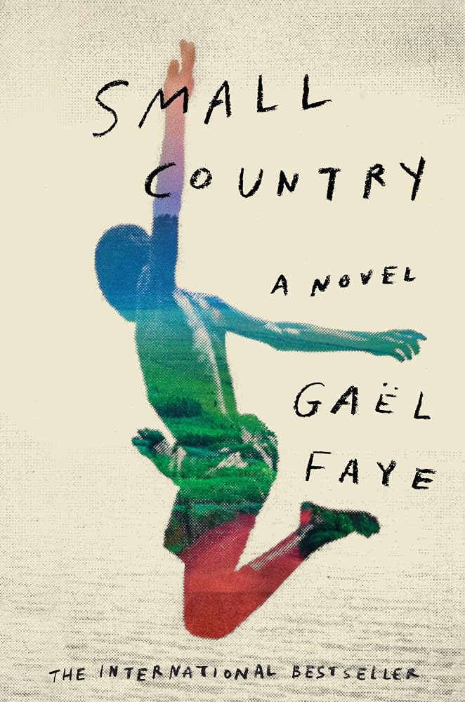 Small Country: A Novel cover image