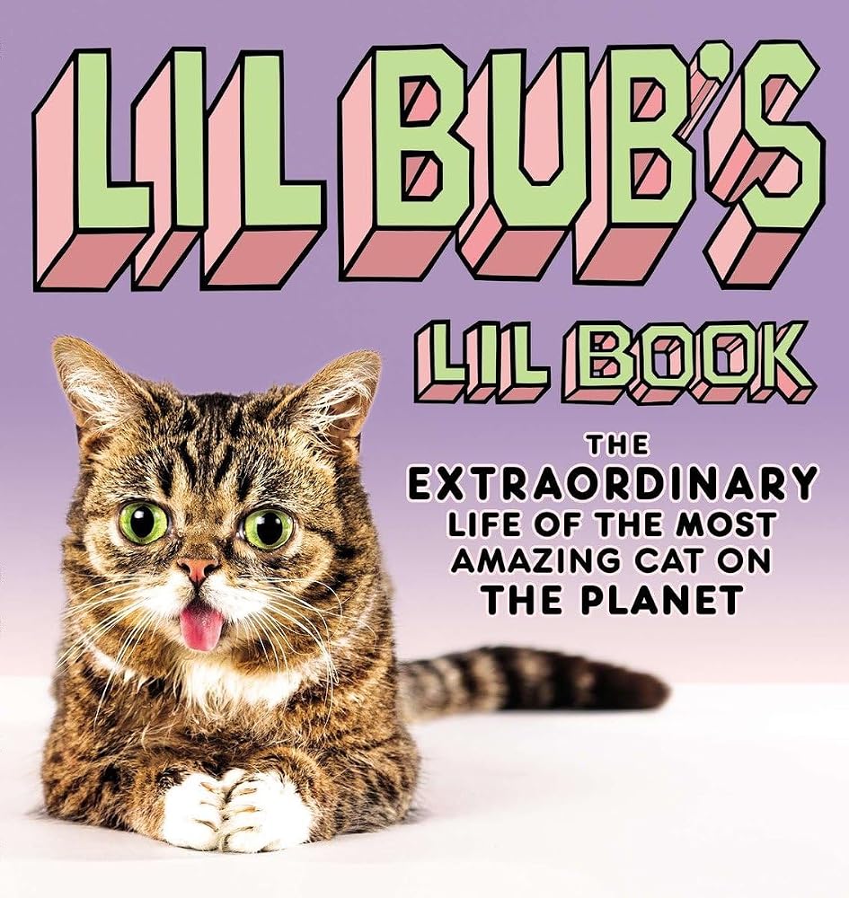 Lil BUB's Lil Book: The Extraordinary Life of the Most Amazing Cat on the Planet cover image