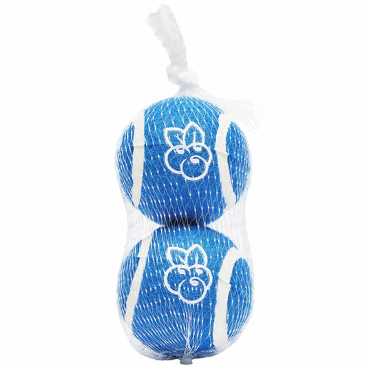 2Pc Pack Blue Tennis Balls Dog Toy 2.5 Inch Outdoor Fun