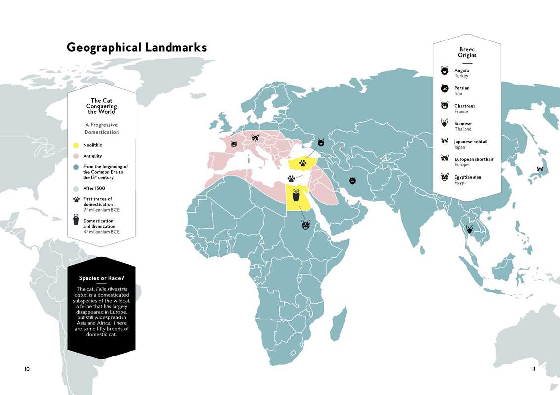 Cats in Art by Alix  Paré