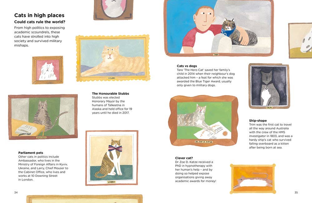 Why do Cats Meow?