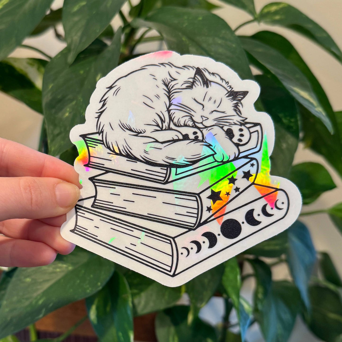 Cat on Book Stack Suncatcher Window Decal