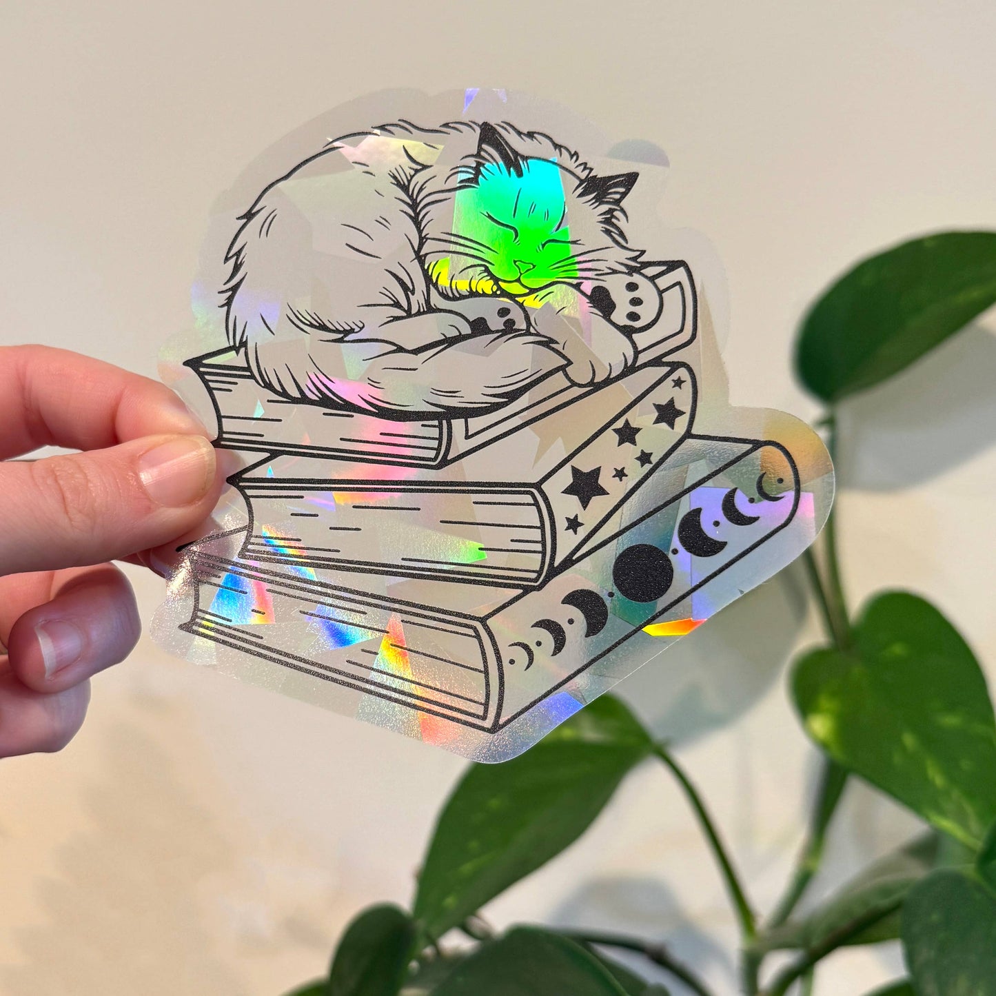 Cat on Book Stack Suncatcher Window Decal