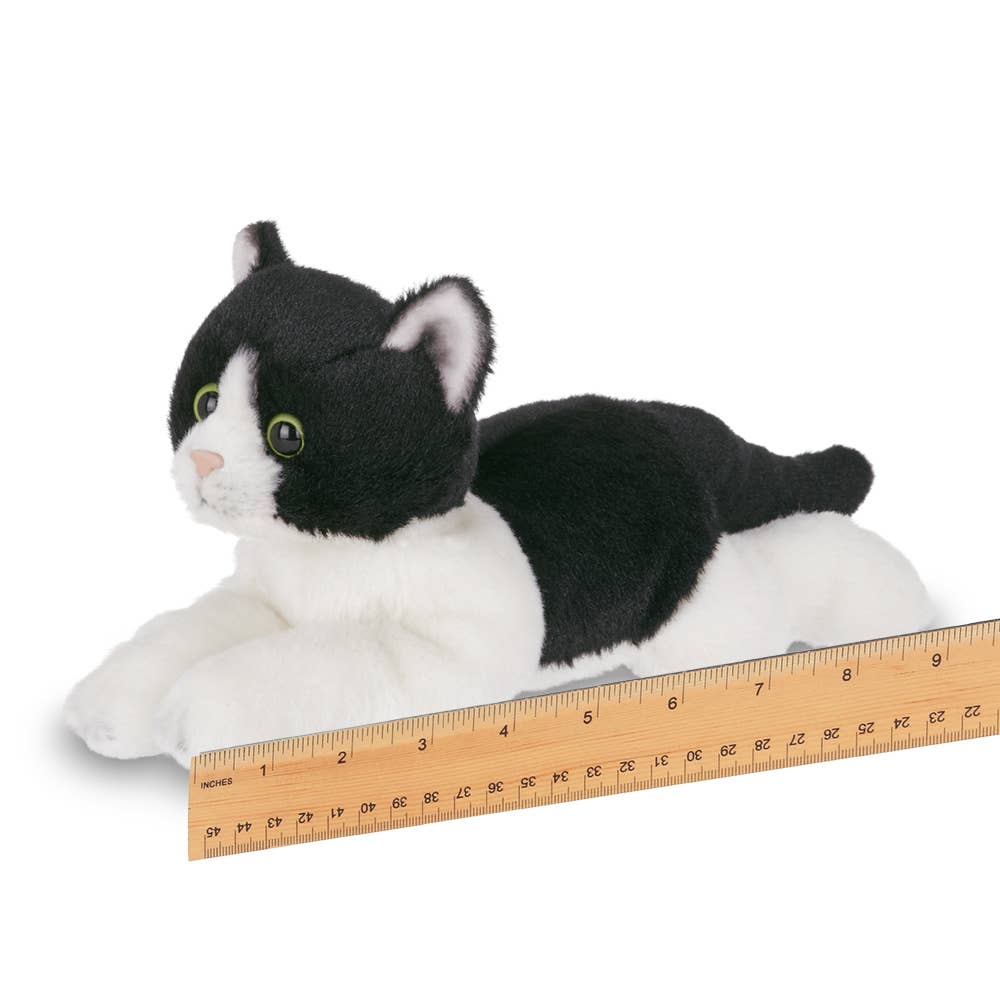 Lil' Domino the Black & White Cat