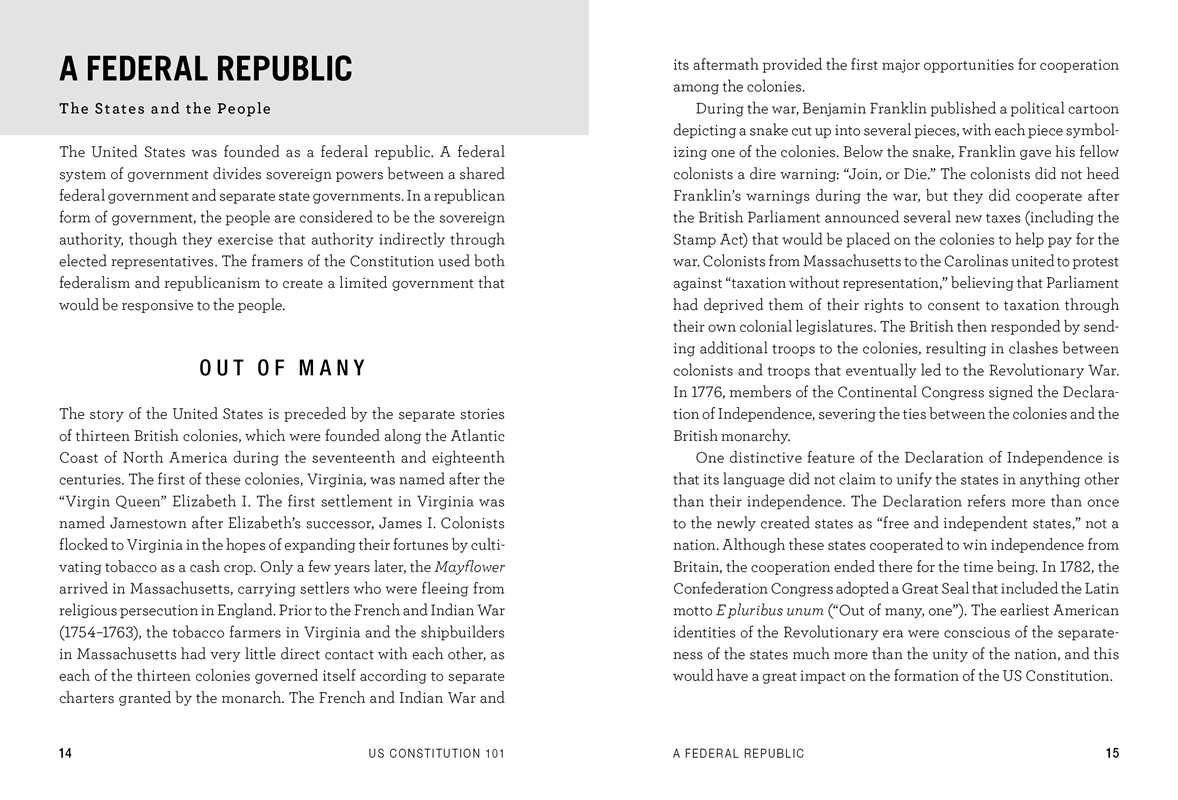 US Constitution 101 by Tom Richey