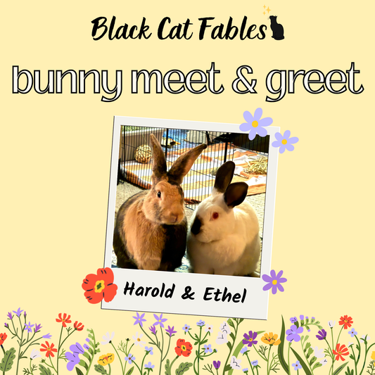 04/04/2026 - Bunny Meet & Greet